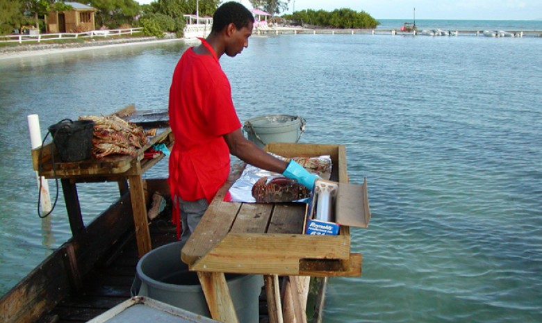 Anegada Lobster