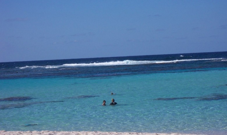 Enjoy A Beach Swim