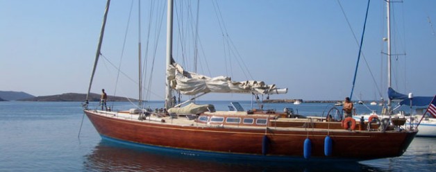 Our Italian Neighbors