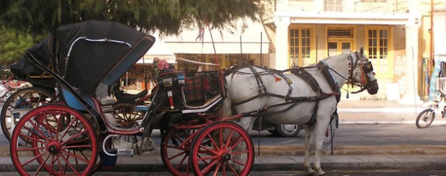 Any One Up For A Carriage Ride?