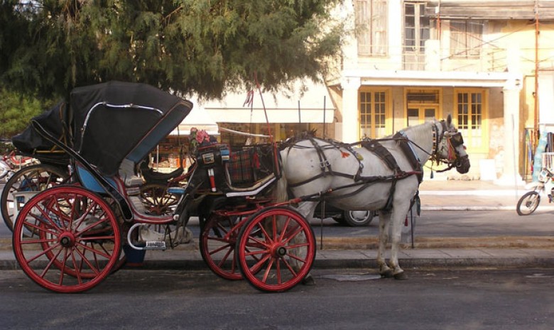 Any One Up For A Carriage Ride?