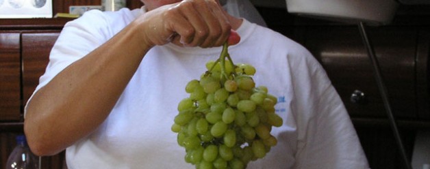 Grapes!