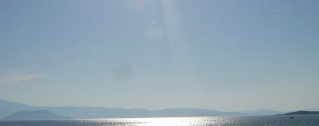 The Sun Sparkles Over The Water