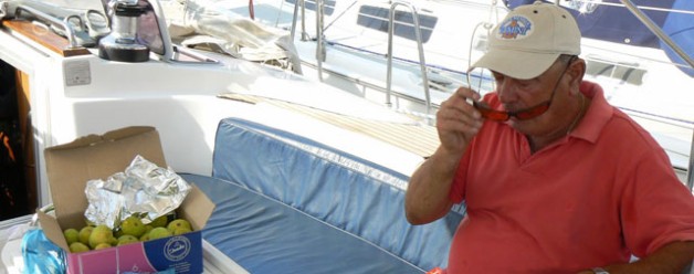 Fresh Figs From Our Taxi Driver In Syros!